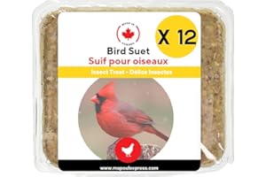 Wild Bird Suet Cakes, High-Energy Food for Backyard Birds (12 Pack, Insect)
