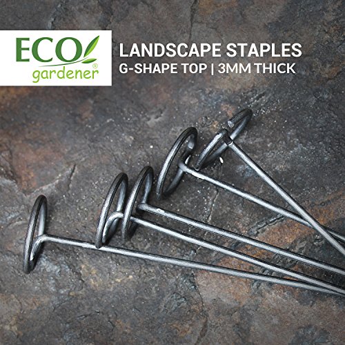 ECOgardener Extra Heavy Duty Galvanized Weed Barrier Landscape Fabric Staples 100 Pack (11 Gauge 'G Style' 100 Pack)