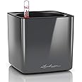 Lechuza 13511 Cube Glossy 14 Self-Watering Planter for Indoor and Outdoor Use, 6" x 6" x 5", Charcoal