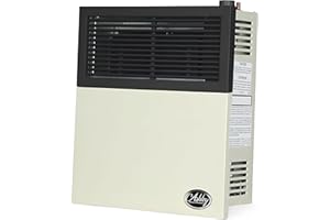 Ashley Hearth Products 11,000 BTU Direct Vent Liquid Propane Wall Mounted Heater with Piezo Lightning, Safety Pilot and Built In Regulator, Cream