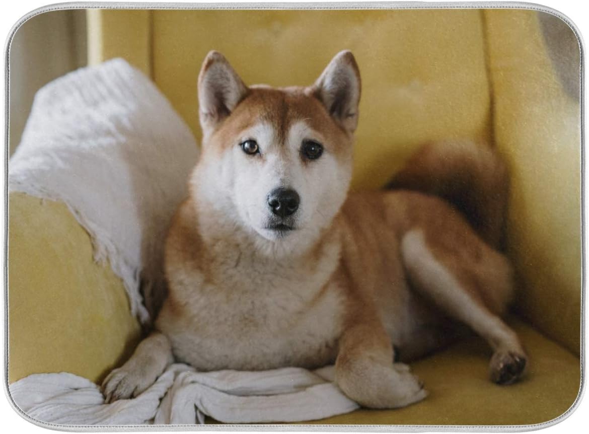 Amazon Com Dish Drying Mat Large Absorbent For Kitchen Counter Drying Mats For Dishes 16 X 18 Inch Shiba Inu On Sofa Pattern Kitchen Dining