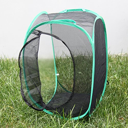 AUSPA Insect and Butterfly Habitat Terrarium Pop-up - 23.6 Inches Tall (Black) - Thumbnail 2