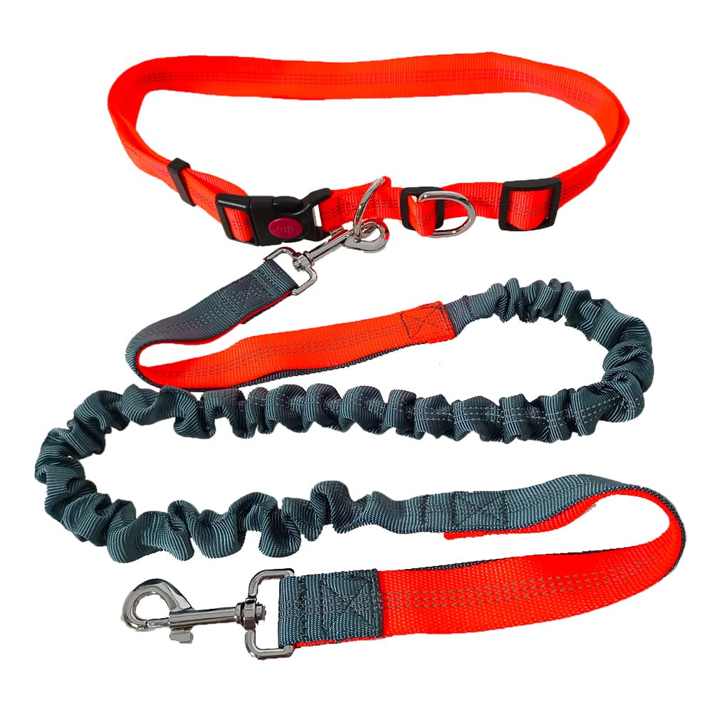 QitinDasen Hands-Free Dog Lead, Orange Adjustable Waist Belt and Grey Stretchy Bungee Lead
