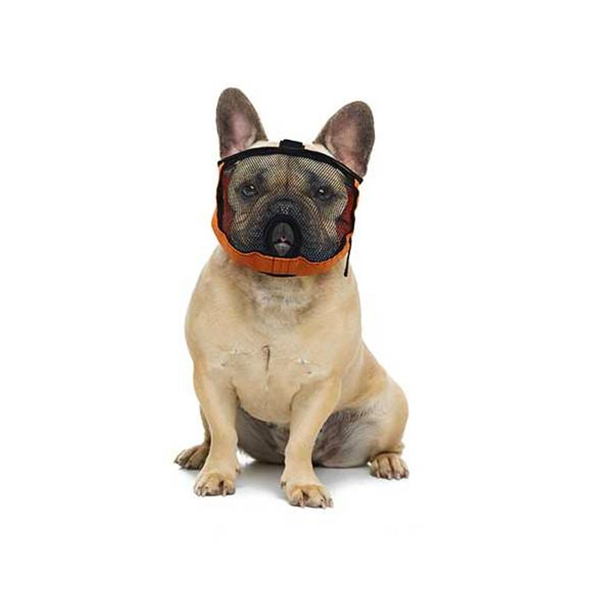 GrandFinale Soft Muzzle for flat-faced dogs: French Bulldog, Pug, Boxer, Pitbull, Shih Tzu, Pekingese (S)