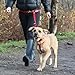 Canine Equipment Technika Beyond Control 1-Inch Dog Leash, Black