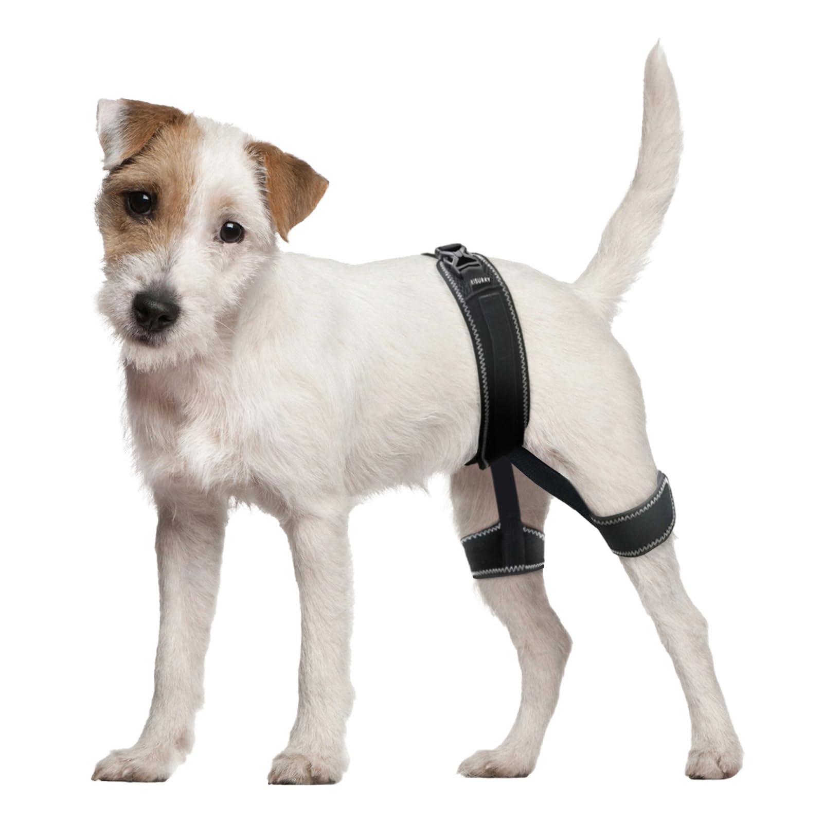 Photo 1 of CHAMIN Dog Hip Orthotics Brace, Dog Hip Dysplasia Brace Harness, Support for Hip Dysplasia, Luxating Patella, Prevent Hip Joint Diseases and Assisted orthopedics, et(Medium)