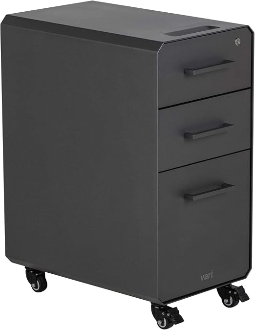 Vari Slim File for Office Storage with Three