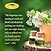 Pure Tamanu Oil Organic Cold Pressed Unrefined for Skin, Nail, Hair, Face & Scalp -Carrier Oil with Vitamin E, Best Eczema Cream, Acne Treatment, Massage Oil, Scar Removal/Stretch Mark Cream (4 oz)