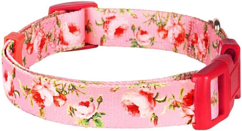 Blueberry Pet 11 Patterns Spring Scent Inspired Floral Rose Baby Pink