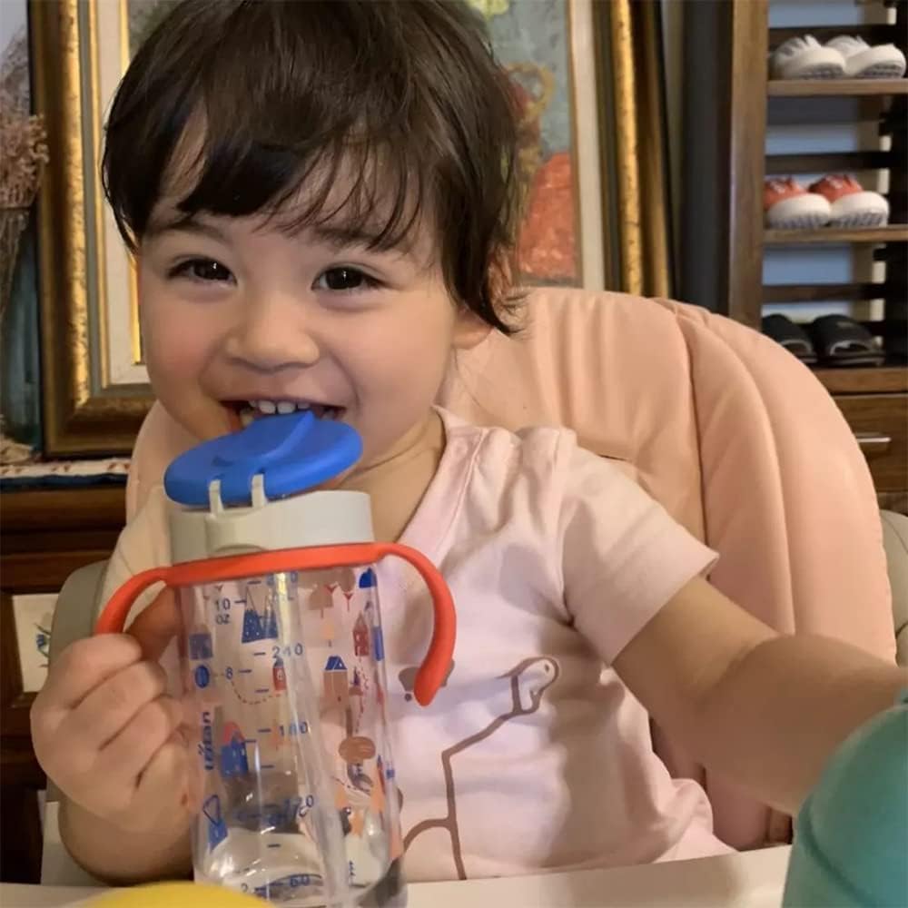 Evorie Tritan Spill Proof Toddler Straw Sippy Cup, 10 oz for Baby and Toddlers 1-3 Years Old, No Spill Straw Water Bottle with Removable Handles, Ideal for School, BPA-Free, Happy Valley