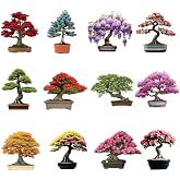 12 Variety Bonsai Tree Seed Kit | 300+ Seeds for Growing &amp; Training | Red Maple, Blue Spruce, Cherry, Wisteria, Black Pine, Flame, Elm, Lilac, Trident Maple, Mimosa, Judas, Desert Rose