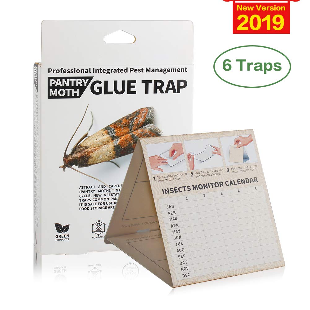 Buy FUAER Moth Traps(2019 version) For Pantry Moth/Food Moth With Two