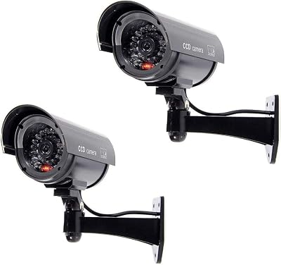 BW 2pcs 1100B Fake CCTV Security Camera Imitation with Flashing Light Black