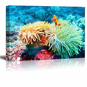 Underwater Landscape with Clown Fish Near Tropical Coral...