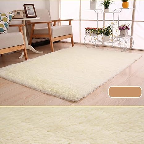 Area Rugs Super Soft Living Room Bedroom Carpet Floor Mat 40 60cm Amazon Ca Home Kitchen