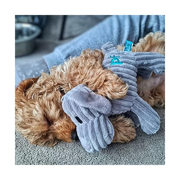 Petface-Little-Petface-Puppy-Dog-Toy-Freddi-Cord Petface (Little Petface) Puppy Dog Toy, Freddi Cord