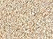 Garden Bloom Authentic Mexican Beach Pebbles 1/4 Inch - Perfect for Succulents, Aquariums, Terrariums, Fairy Gardens, All Landscape Applications (1 LB)