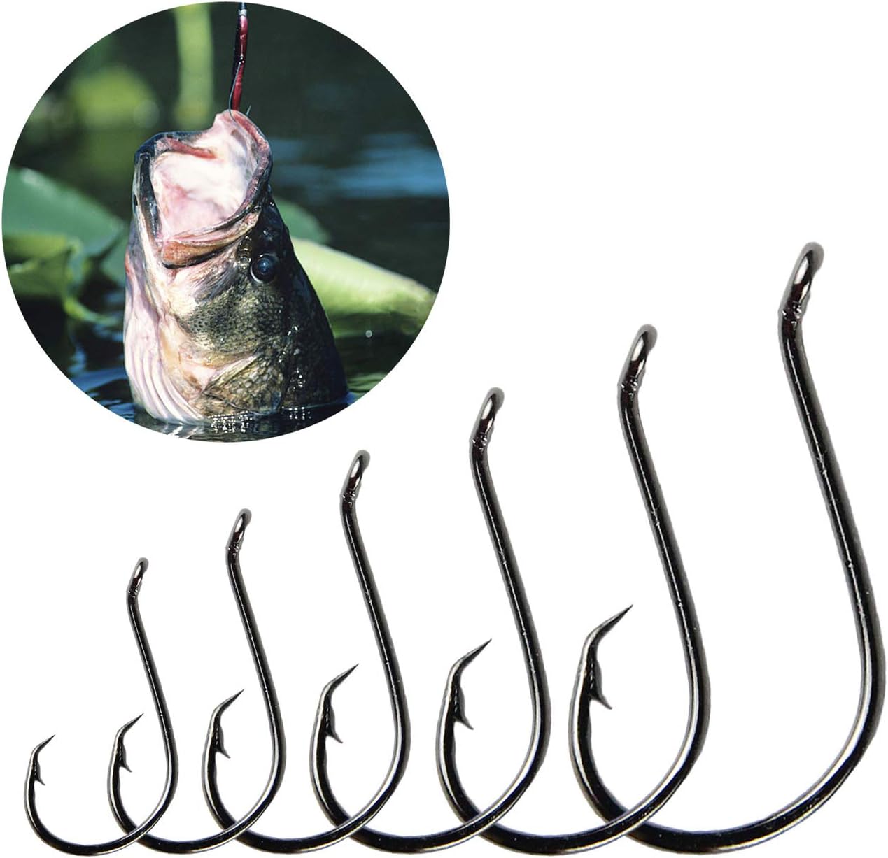 Circle Hooks Saltwater Fishing Hooks, 150PCS Fishing Circle Hooks 2X Strong Offset Octopus Catfish Fishing Hooks Assortment High Carbon Steel Bait Fishing Hooks Kit – Size #1 1/0 2/0 3/0 4/0 5/0 : Sports & Outdoors