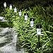 KODOO 12Pack Solar Lights Outdoor, Outdoor Garden Lights, Solar Pathway Lights, Outdoor Landscape Lighting for Lawn/Patio/Yard/Walkway/Driveway (Stainless Steel)