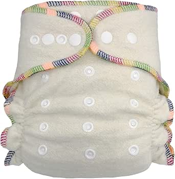 Amazon.com: Fitted Cloth Diaper: Overnight Diaper with 2 &hellip;