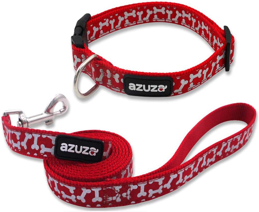 red dog collar and leash
