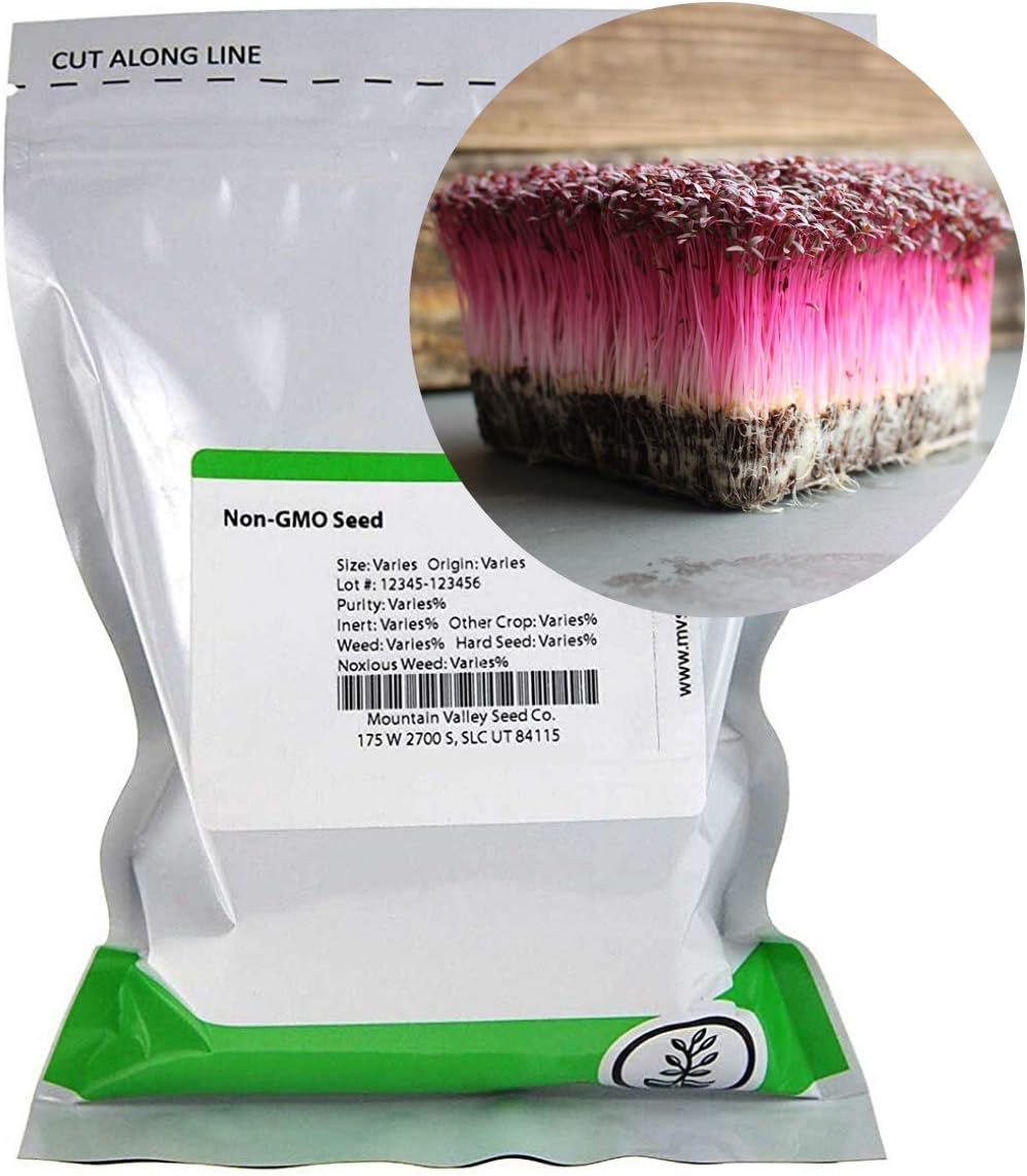 Red Amaranth Microgreens Seeds Bulk Seed for