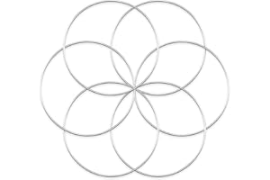 Worown 6 Pcs 10 Inch Floral Wreath Hoops, Silver Metal Rings for Making Wedding Wreath Decor and Wall Hanging Craft