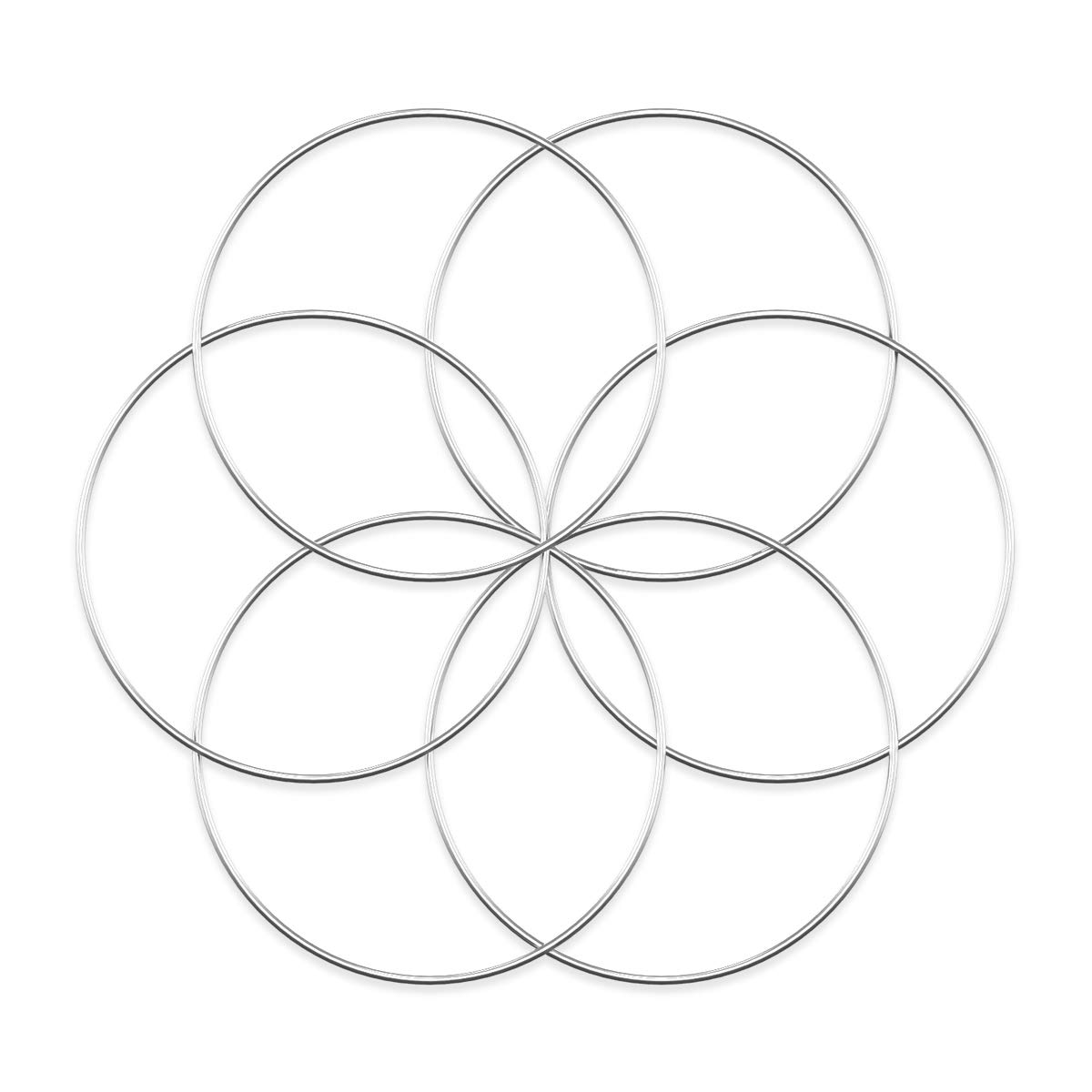 Worown 6pcs 25cm Floral Wreath Hoops, Silver Metal Rings for Making Wedding Wreath Decor and Wall Hanging Craft