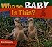 Whose Baby Is This? (Whose? Animal Series)