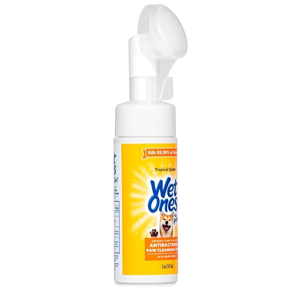 WET ONES FOR PETS ANTIBACTERIAL PAW CLEANER WITH BUILT-IN SCRUBBER BRUSH – FOAMING CLEANSER FOR DOG PAWS – WASHER & GROOMING CARE – CLEANING SUPPLIES – TROPICAL SPLASH SCENT 5 OZ