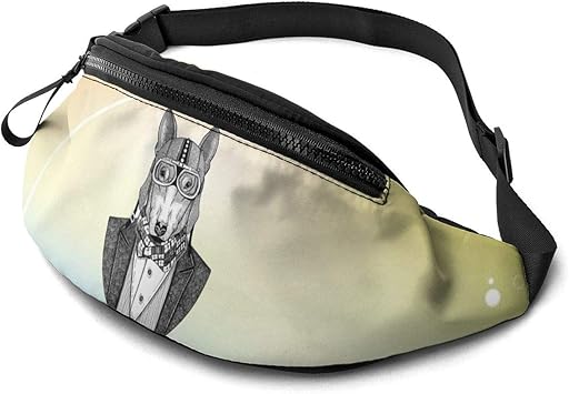 running bum bag amazon