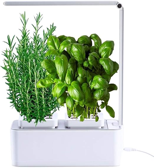 amzWOW Smart Garden Huerto de Interior 100% Eco, para Cultivar ...