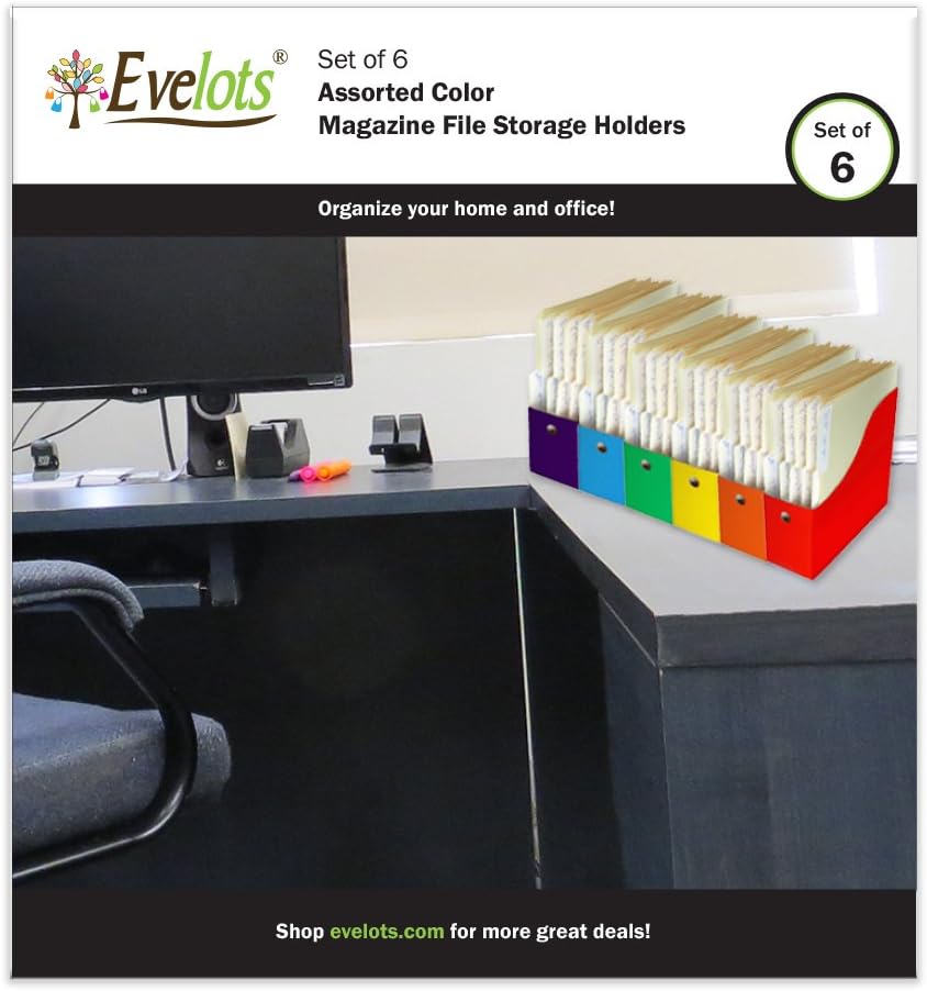 Evelots Magazine File Holder-Organizer-Full 4 Inch Wide-6 Colors-W/Labels-Set/6 : Office Products