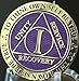 RecoveryChip 1 Year AA Medallion Reflex Purple Gold Plated Chip