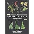 Pressed Plants: Making a Herbarium