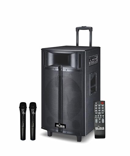 persang karaoke speaker