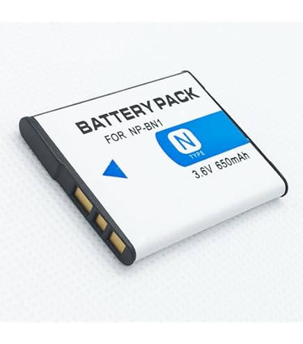 Amazon.com : Rechargeable Battery 2 Pack for Sony Cybershot