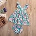 GRNSHTS Baby Girls Flower Print Ruffles Dress Set with Briefs (70 cm/ 0-6 Months, Floral Dress & Briefs)