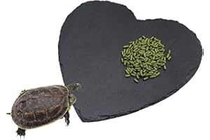 OOOCT Reptile Basking Platform, 7.9 × 7.9 inch Tortoise Rock Plate, Heart Shape Natural Rock Reptile Food Dish, Turtle Feeding Bowl, Habitat Decor for Bearded Dragon Chameleon Frog Lizard Gecko Hermit Crab