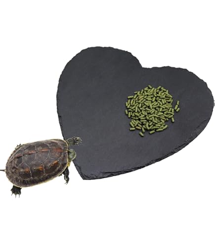 Fbaby Reptile Basking Platform - Slate Rock Plate For Turtles, Lizards, Bearded Dragons (11.8" X 7.8")