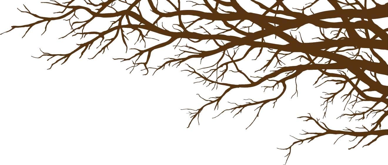 Vinyl Wall Art Mural Decal Tree Top Branches 67"(w) X 28 1/2"(h) Right to Left (Brown)