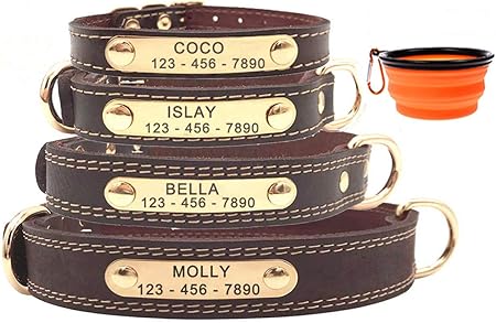 dog collars with engraved name plate