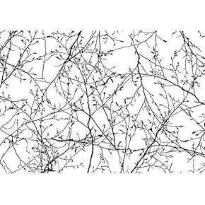 Vector Seamless Texture of The Branches on The White Background - Removable Wall Mural | Self-Adhesive Large Wallpaper - 66x96 inches