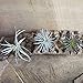 CHIVE Artificial Air Plants — Bulk Set of 5, Small — Ultra Realistic Fake Tillandsia Bromeliad Plants — Decorative Faux Succulents for Home & Office Decor — No Care Needed!