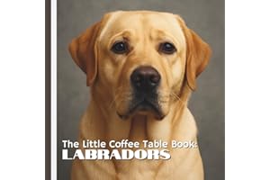 The Little Coffee Table Book: Labradors: Featuring stunning photos and engaging content, this book is perfect for dog lovers 