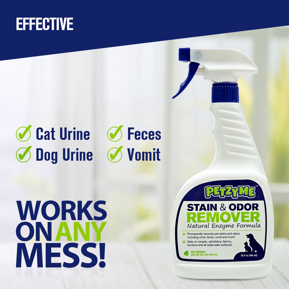 Petzyme Pet Stain Remover Odor Eliminator, Enzyme Cleaner for Dogs, Cats Urine, 858806002007 eBay