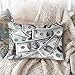 Funny US Dollar Currency Money Pillowcase, Hundreds of Dollar Bills Pillowcase - Pillowcase with Zipper, Pillow Protector Cover Cases - Size 20x30 inches