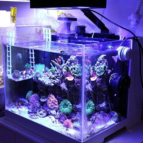 Amazon Ledアクアリウムライト アクアリウムledライト サンゴ礁 魚飼育ナノ水槽用のタッチコントロール付き30w海水照明および3w Cree社製ledチップ Hipargero製 Hipargero ライト 照明 通販