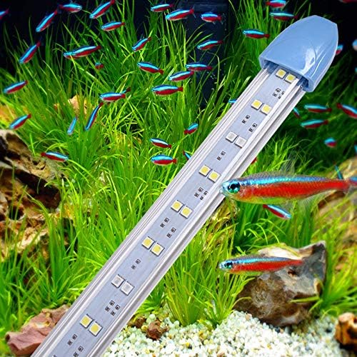 WANGIRL Ultra-Thin Crystal Double Row Arowana Lamp Aquarium Light LED Lamp Aquarium Dive Lamp Waterproof Diver Land Dual-Use,50cm