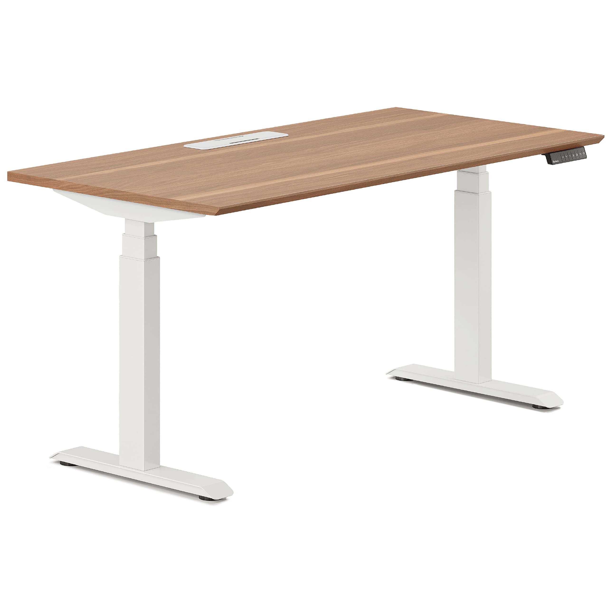 Branch Adjustable Standing Desk